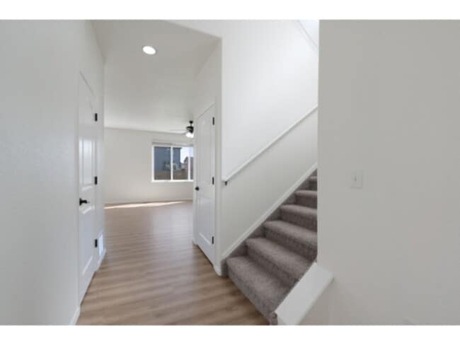 4637 Dancing Light Way in Colorado Springs, CO - Building Photo - Building Photo