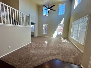 2122 Longfin Ct in Windsor, CO - Building Photo - Building Photo