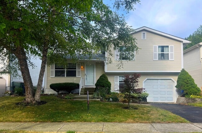 property at 7785 Kiowa Way