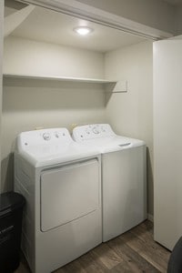 Broadstone Briar Forest photo'