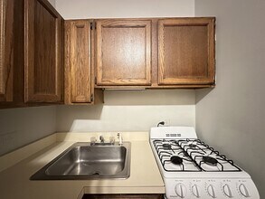 515 W Melrose St, Unit J09W in Chicago, IL - Building Photo - Building Photo