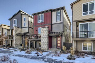 11241 Modern Mdw Lp in Colorado Springs, CO - Building Photo