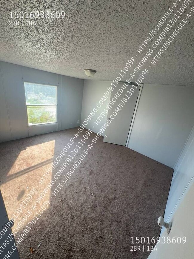 132 Wyles Ln in Jessieville, AR - Building Photo - Building Photo
