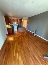 1250 S Indiana Ave, Unit 1012 in Chicago, IL - Building Photo - Building Photo