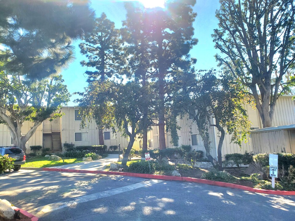 PV Victoria Apartments in Rancho Palos Verdes, CA - Foto de edificio