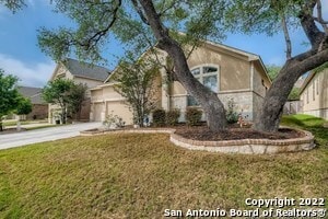 property at 11338 Ivy Cadence