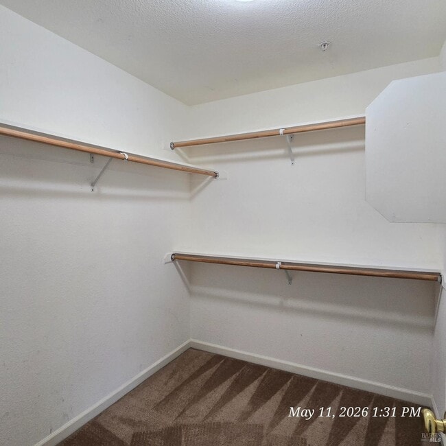 175 Rogue Ct