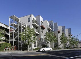 Andante Emeryville in Emeryville, CA - Foto de edificio - Building Photo