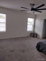 10857 Trailing Vine Dr in Tampa, FL - Building Photo