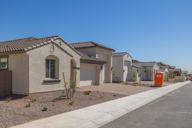 Allen Ranches in Litchfield Park, AZ - Building Photo - Building Photo