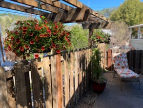 14387 Gods Hill in Amador City, CA - Building Photo - Building Photo