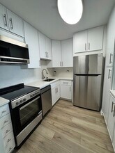 70 W Burton Pl, Unit 1108F in Chicago, IL - Building Photo - Building Photo