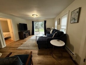 119 Winn Hill Rd in Sunapee, NH - Building Photo - Building Photo