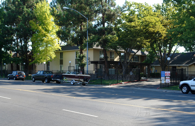 Willow Tree Apartments in Sacramento, CA - Building Photo - Building Photo