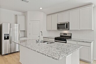 308 Texas Agate Dr in Kyle, TX - Building Photo - Building Photo