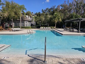 13235 Sanctuary Cove Dr in Temple Terrace, FL - Building Photo - Building Photo