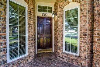 807 Hyacinth Pl in Missouri City, TX - Building Photo - Building Photo