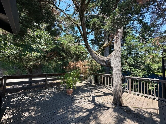 property at 6800 Saroni Dr