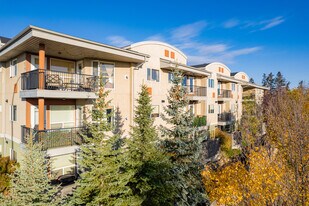 69 Springborough Crt SW in Calgary, AB - Building Photo - Building Photo