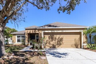 31735 Loch Aline Dr in Wesley Chapel, FL - Building Photo