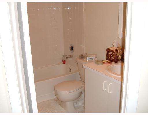 4097 NW 87th Ave in Sunrise, FL - Building Photo - Building Photo