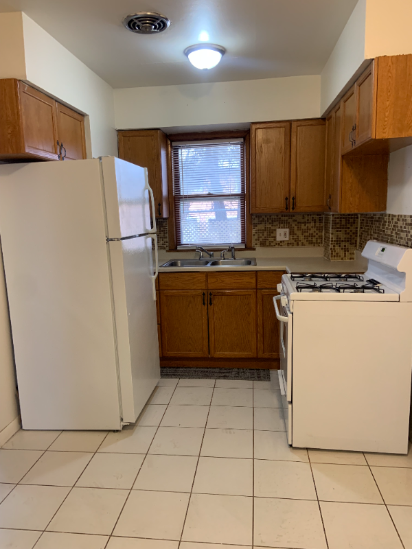 100 Vana Dr in Willow Springs, IL - Building Photo - Building Photo