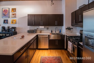 1017 W Washington Blvd in Chicago, IL - Building Photo - Building Photo