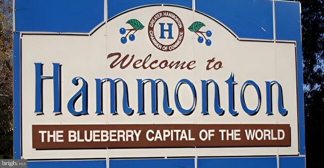 42 Michael Rd in Hammonton, NJ - Building Photo - Building Photo