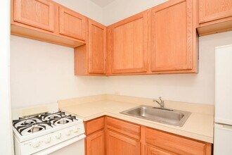 1169 N Dearborn St, Unit 504 in Chicago, IL - Building Photo - Building Photo