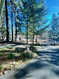 13550 Loma Rica Dr in Grass Valley, CA - Building Photo - Building Photo