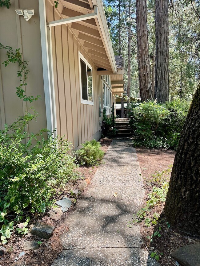 13246 Red Dog Rd in Nevada City, CA - Building Photo - Building Photo