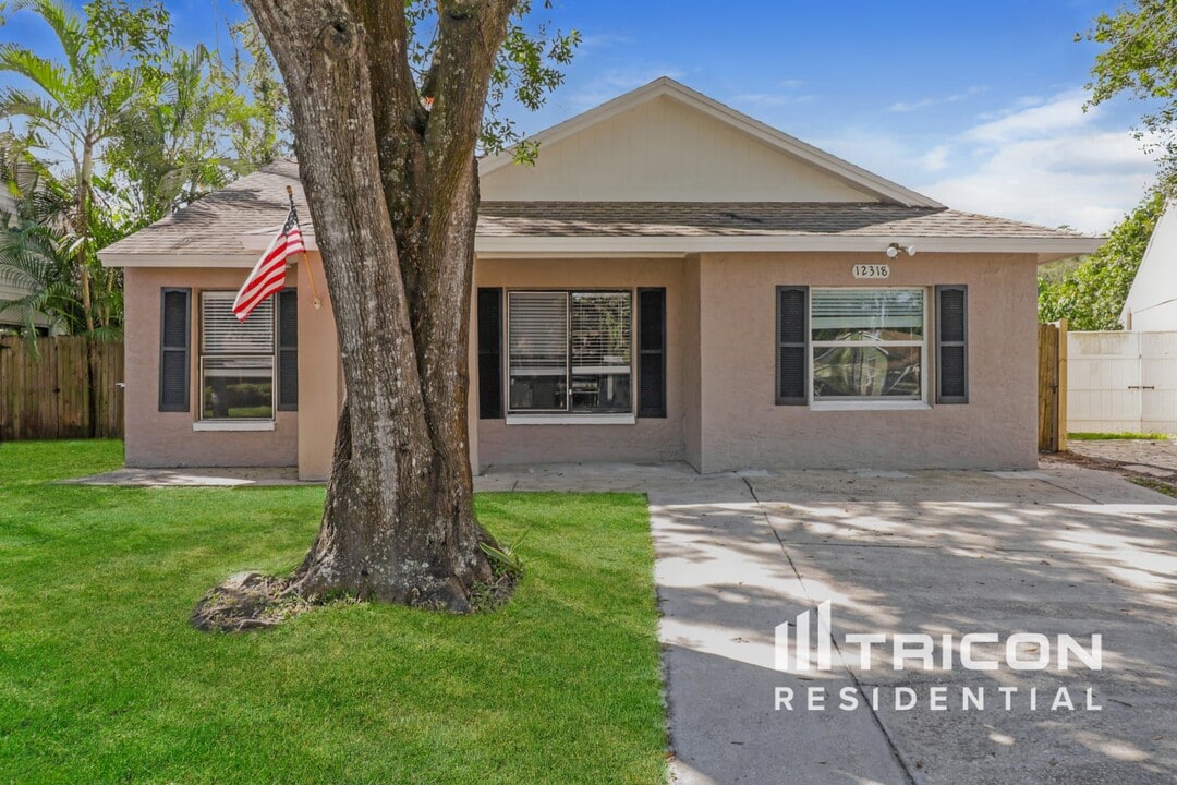 12318 Cloverstone Dr in Tampa, FL - Foto de edificio
