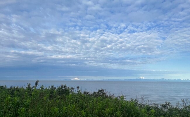 1529 Pey Dr in Kenai, AK - Building Photo - Building Photo