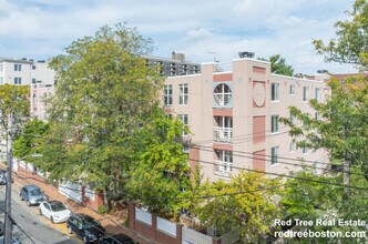345 Franklin St, Unit 205 in Cambridge, MA - Building Photo - Building Photo