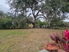 37732 Silver Pines Ave in Zephyrhills, FL - Foto de edificio - Building Photo