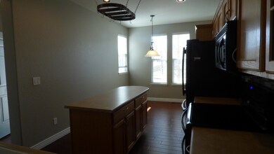 10679 Cherrybrook Cir in Highlands Ranch, CO - Building Photo - Building Photo