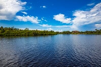 Apartments in Parrish, FL