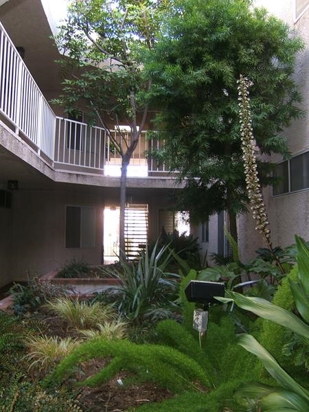 11970 Walnut Lane in Los Angeles, CA - Building Photo