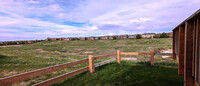 10722 Cherrington St in Highlands Ranch, CO - Building Photo - Building Photo