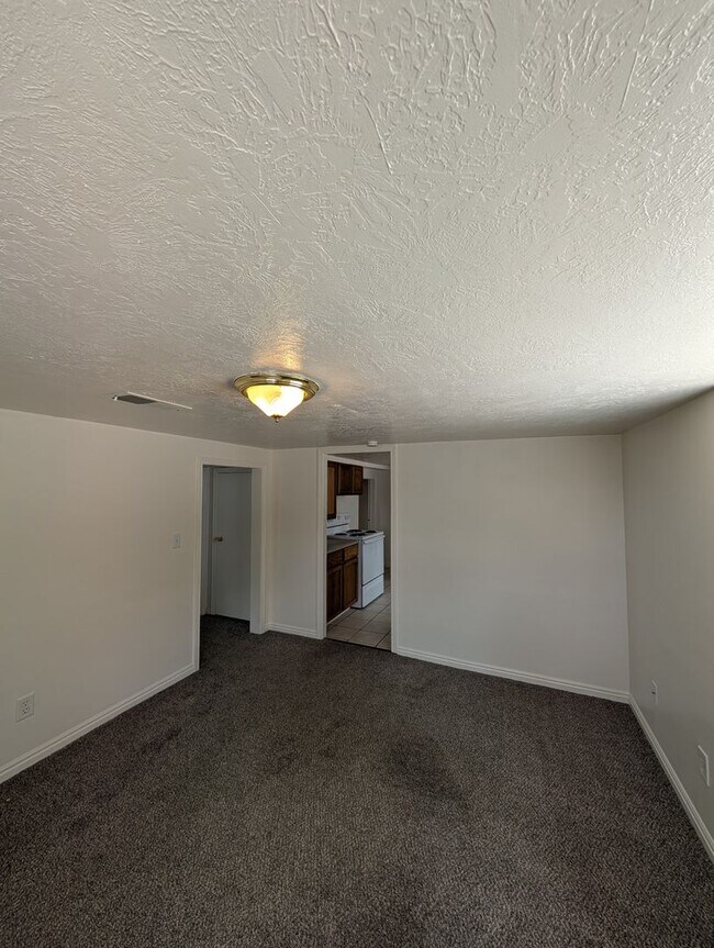 226 S 10th Ave in Pocatello, ID - Building Photo - Building Photo