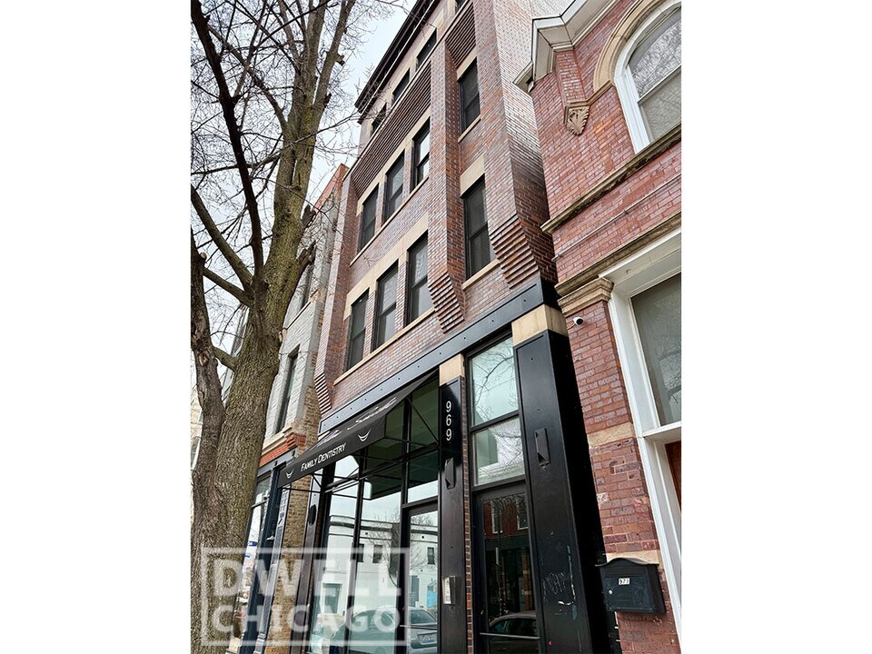 969 W 18th St, Unit 3 in Chicago, IL - Building Photo