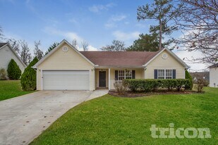 255 Butler Bridge Cir in Covington, GA - Building Photo