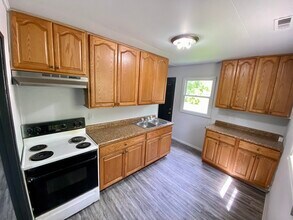 1003 Giddings St in Danville, IL - Building Photo - Building Photo