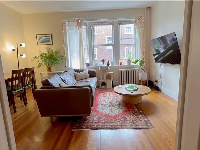 property at 73 Martin St