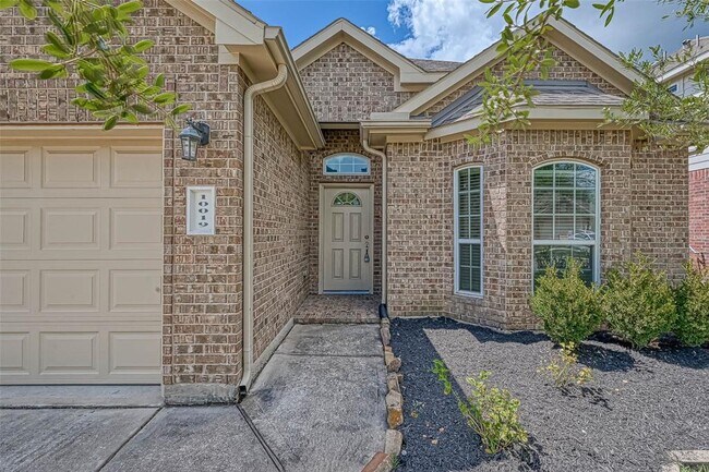 10019 Taylor Springs Ln in Tomball, TX - Building Photo - Building Photo