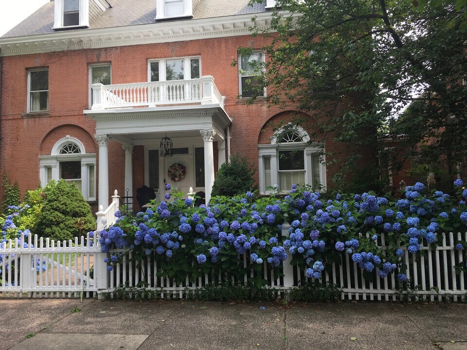 245 Bradley St, Unit #3W in New Haven, CT - Foto de edificio
