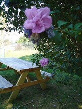 Nottingham North Apartments in Knoxville, TN - Building Photo - Building Photo