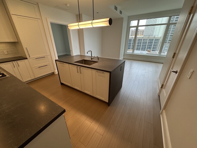 514 N Peshtigo Ct in Chicago, IL - Building Photo - Building Photo