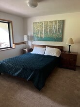 650 Belford St in Frisco, CO - Building Photo - Building Photo