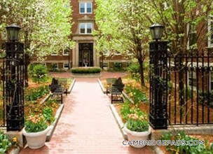 18 Chauncy St, Unit 8 in Cambridge, MA - Foto de edificio - Building Photo